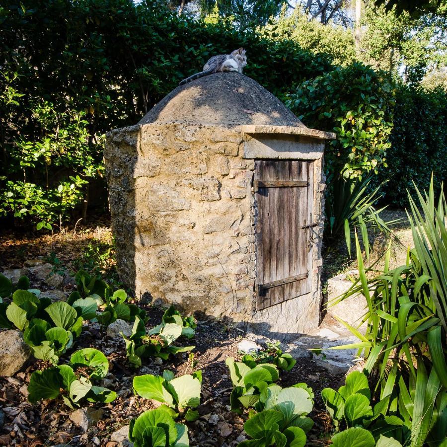 La Jourdane Bed & Breakfast Saint-Alexandre Bagian luar foto