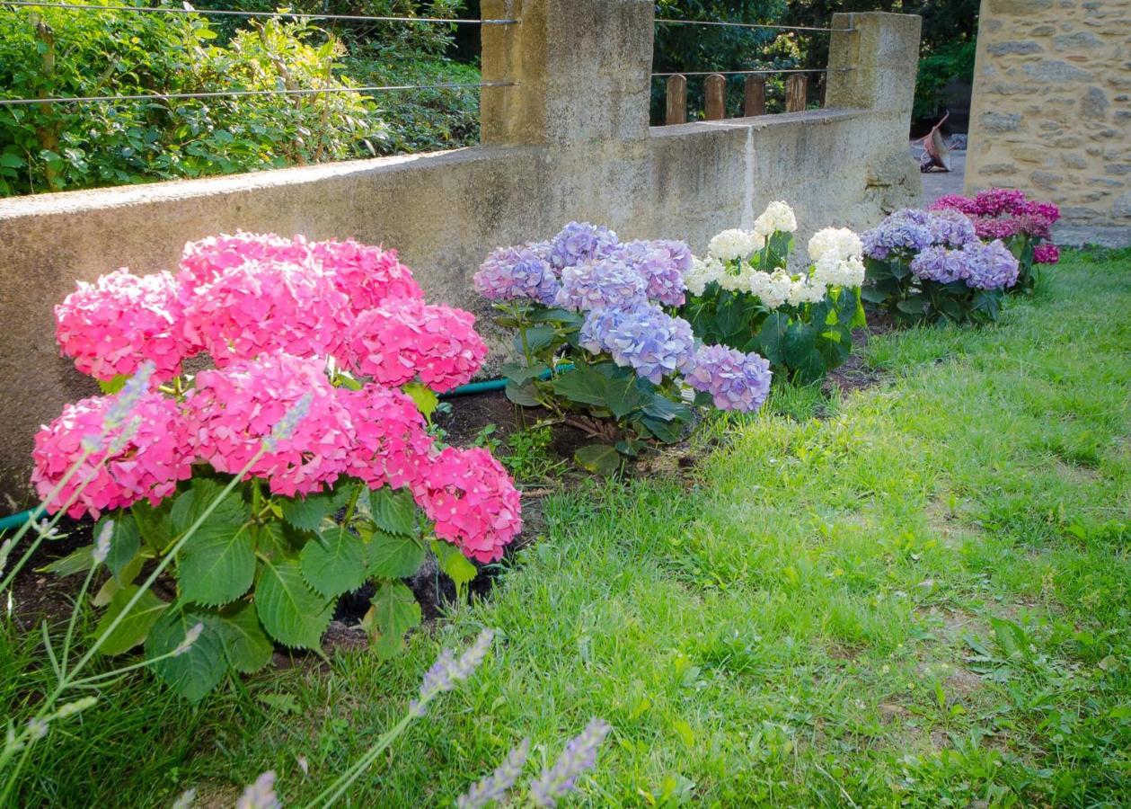 La Jourdane Bed & Breakfast Saint-Alexandre Ruang foto
